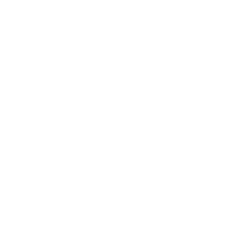 made in italy